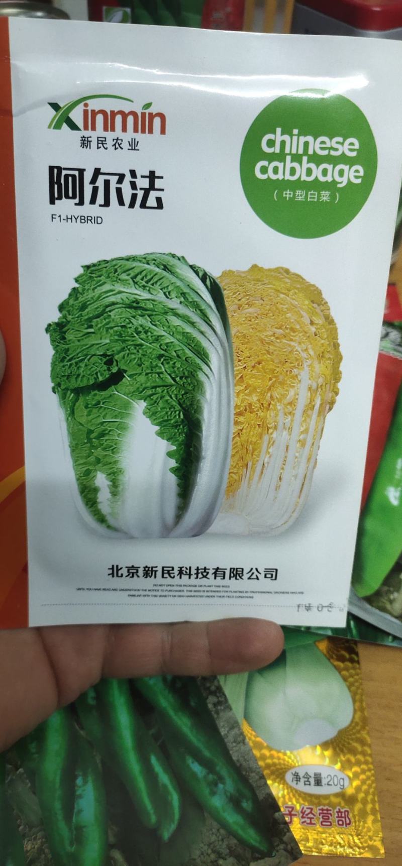 白菜种子阿尔法黄芯中型白菜，球形直筒型，