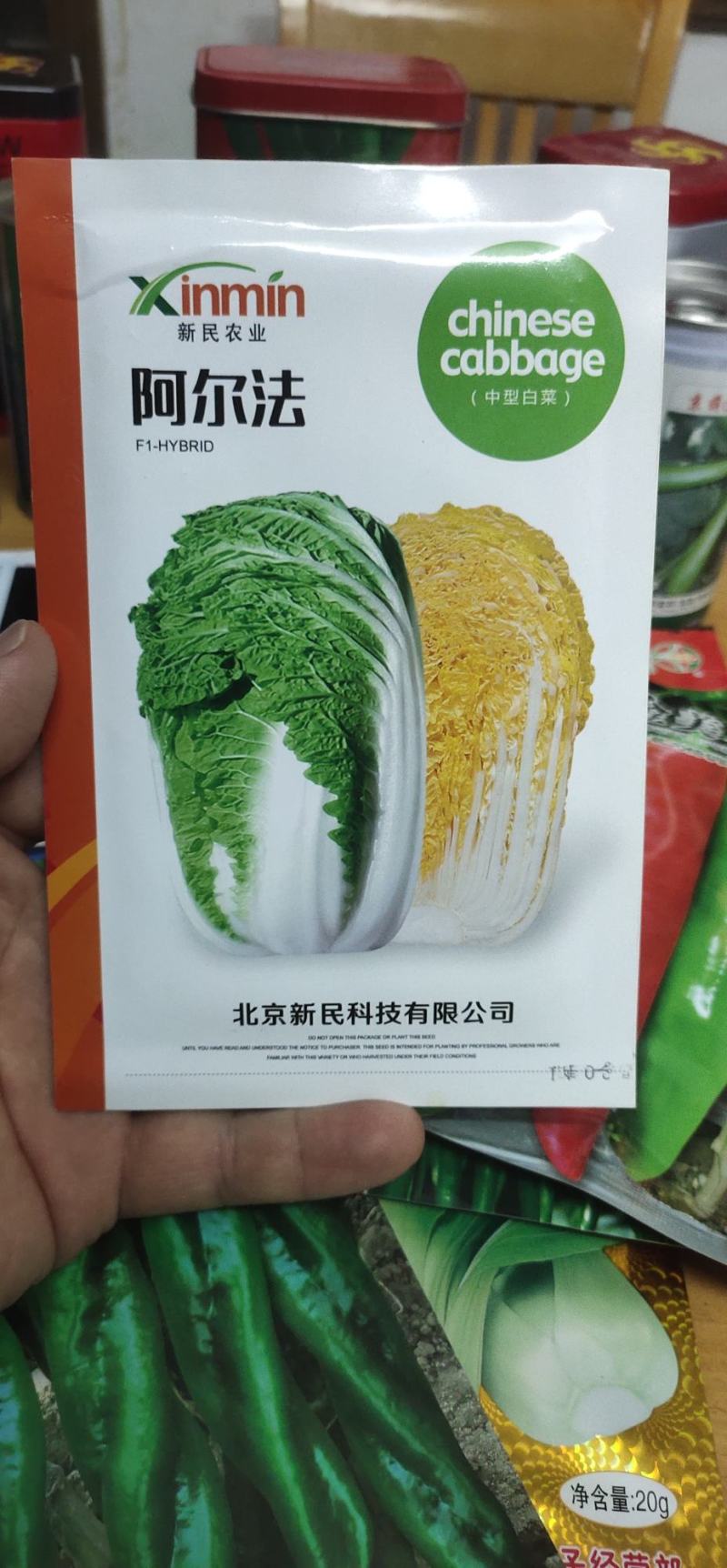 白菜种子阿尔法黄芯中型白菜，球形直筒型，