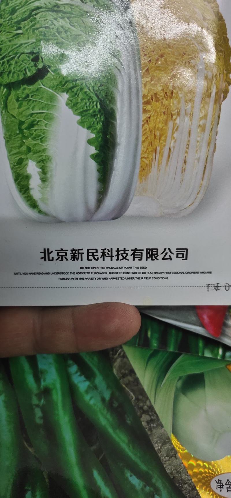 白菜种子阿尔法黄芯中型白菜，球形直筒型，
