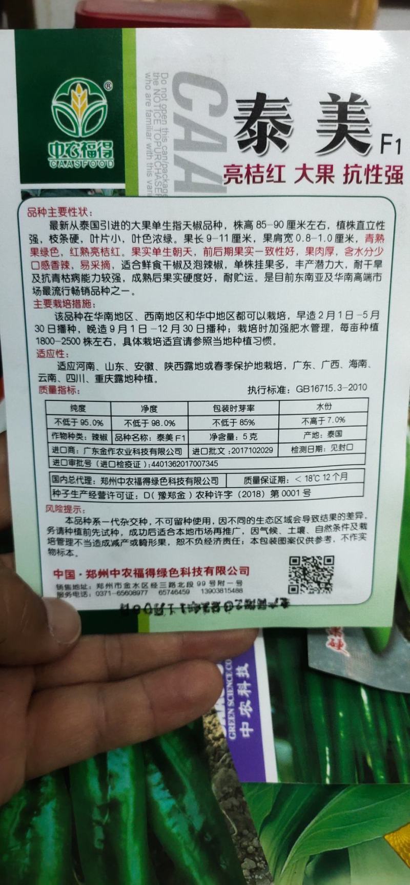 辣椒种子朝天椒单株挂果多耐干旱无白果长11厘