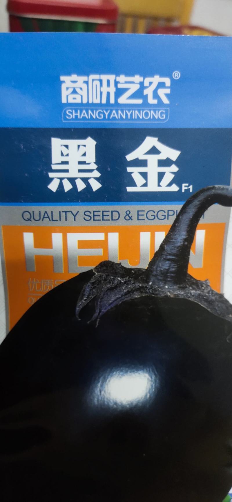 黑茄子种子一黑值单果重1000g-1500