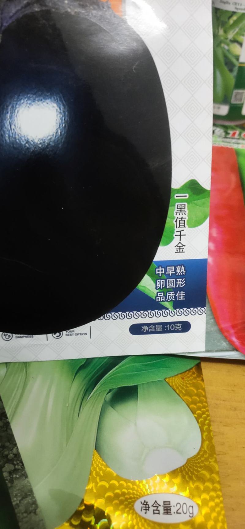 黑茄子种子一黑值单果重1000g-1500
