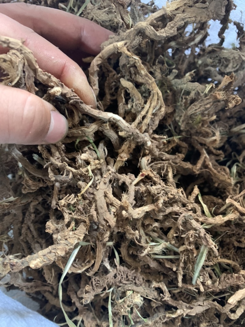 石菖蒲干货野生石菖蒲干货统条药材中药材无硫磺