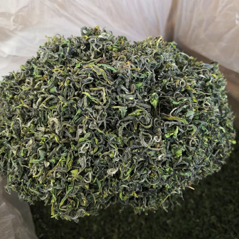 【喝好茶】2023新茶厂家批发正宗日照绿500g包邮尝鲜