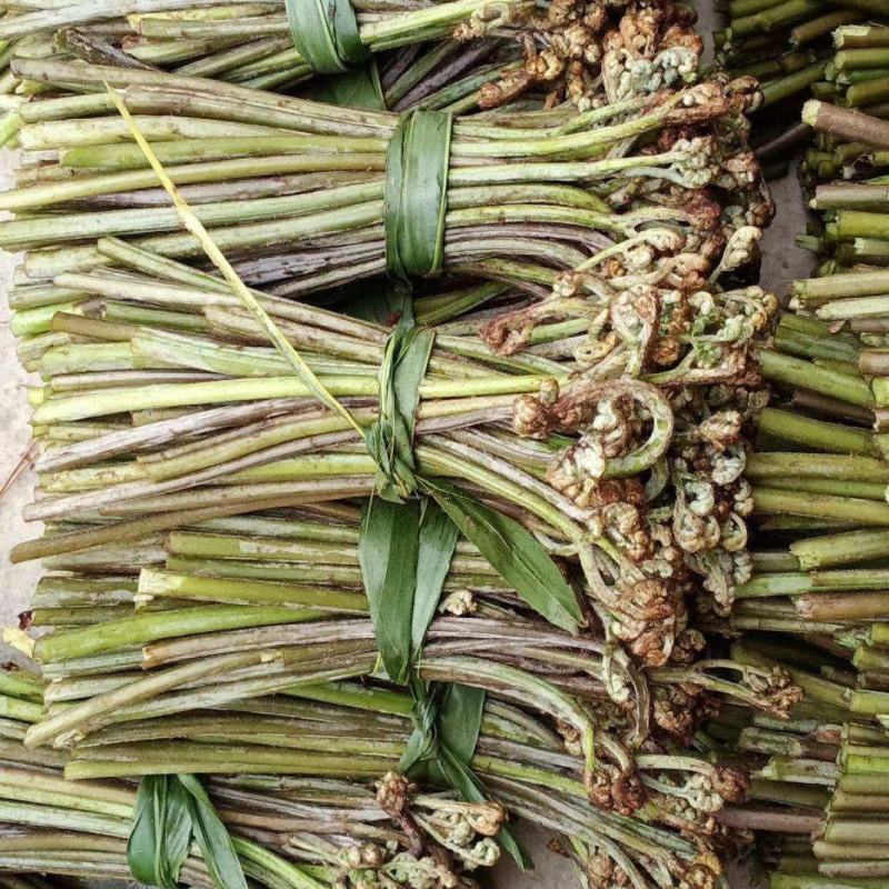 大量蕨菜现货，有需要联系
