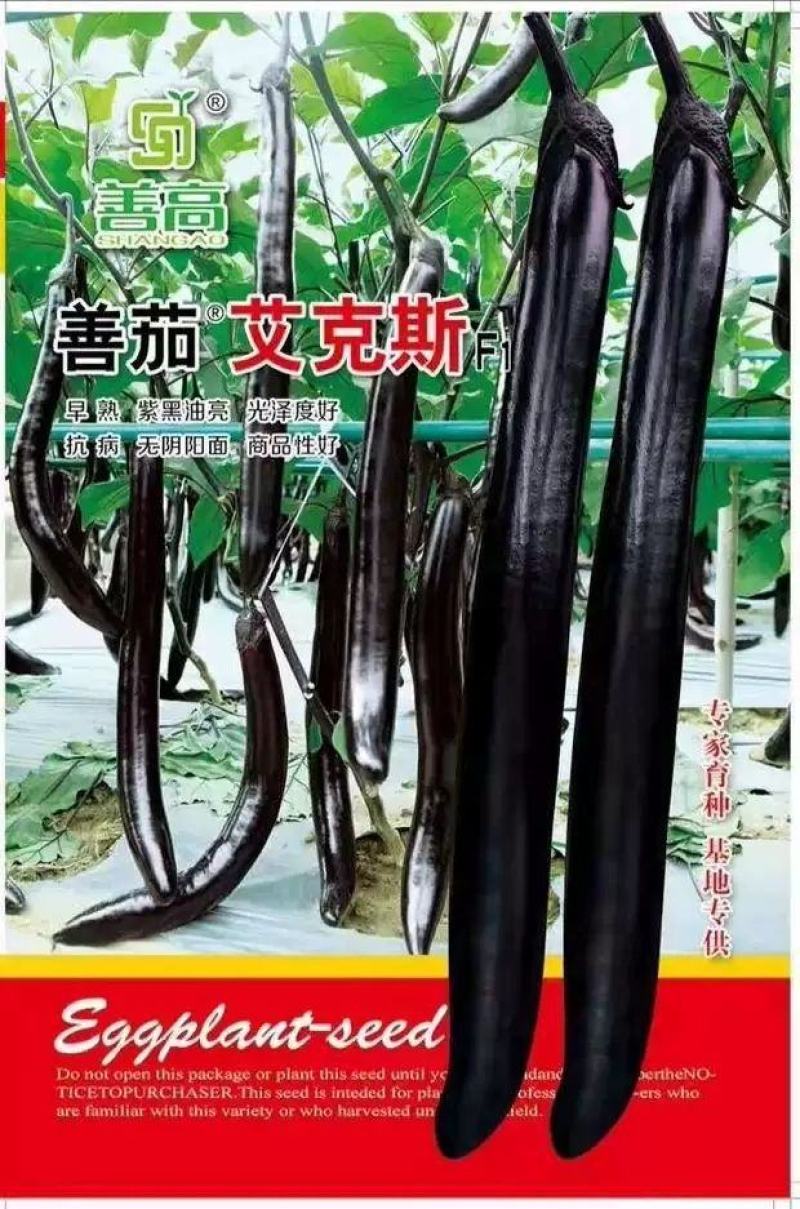 善茄艾克斯茄子种子1000粒，果色紫黑艳丽
