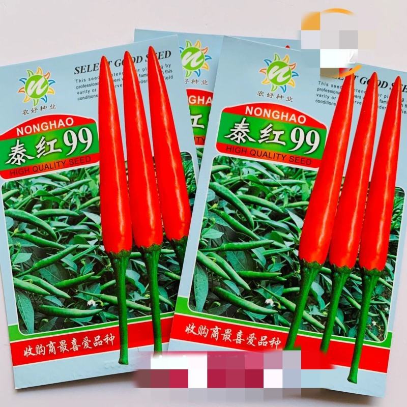 泰红99朝天椒种子1000粒