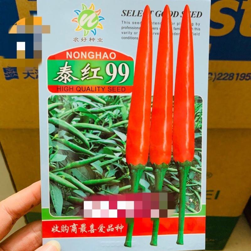 泰红99朝天椒种子1000粒