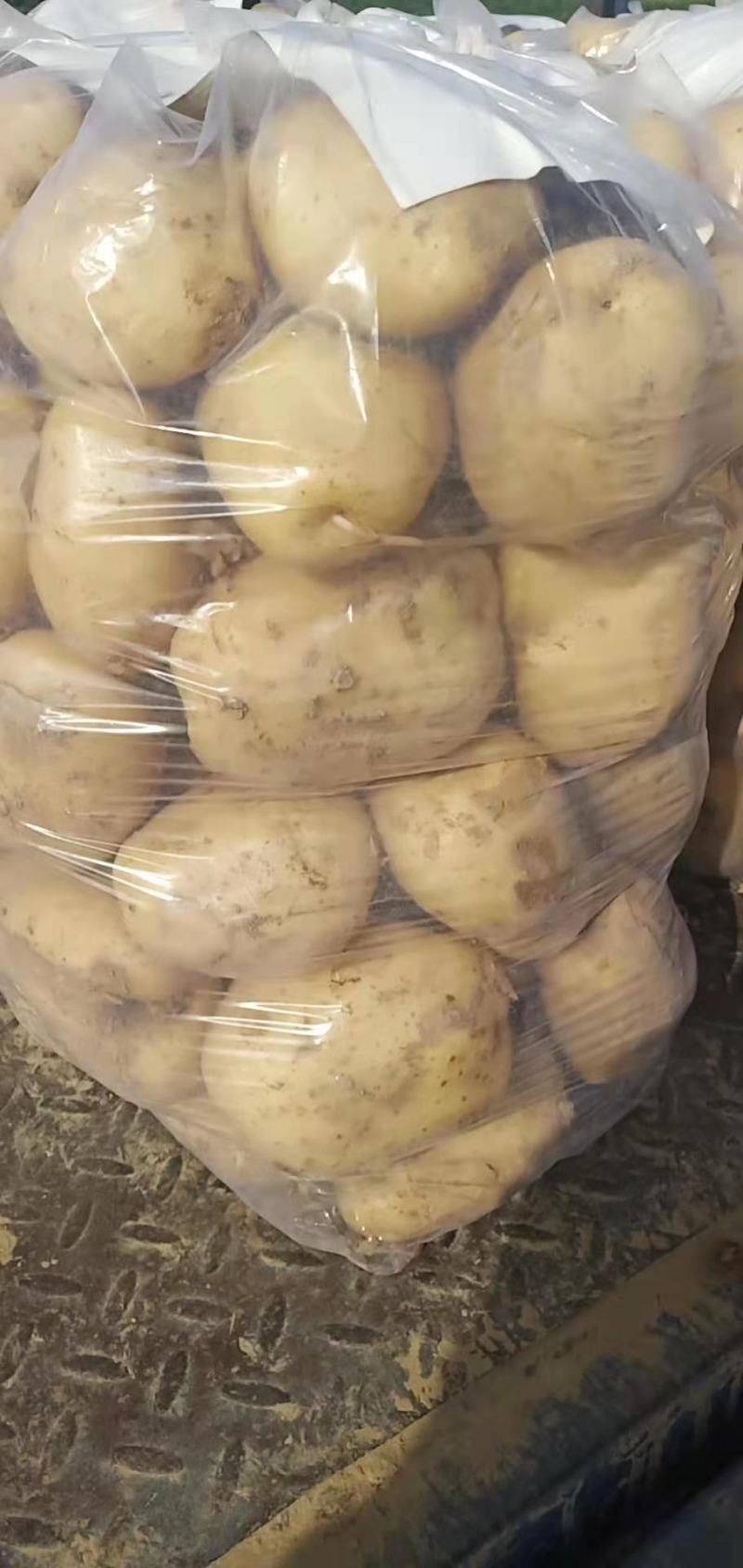 土豆大量上市，质优价廉，黄皮黄心土豆个头均匀，表皮光滑