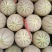 小蜜25.西州蜜，哈密瓜，山东潍坊青州，寿光昌乐主产区，
