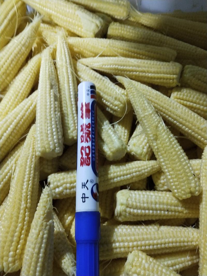 玉米笋