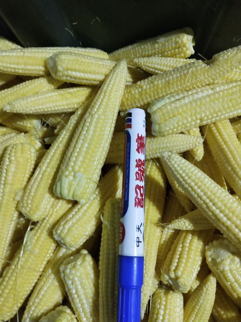 玉米笋