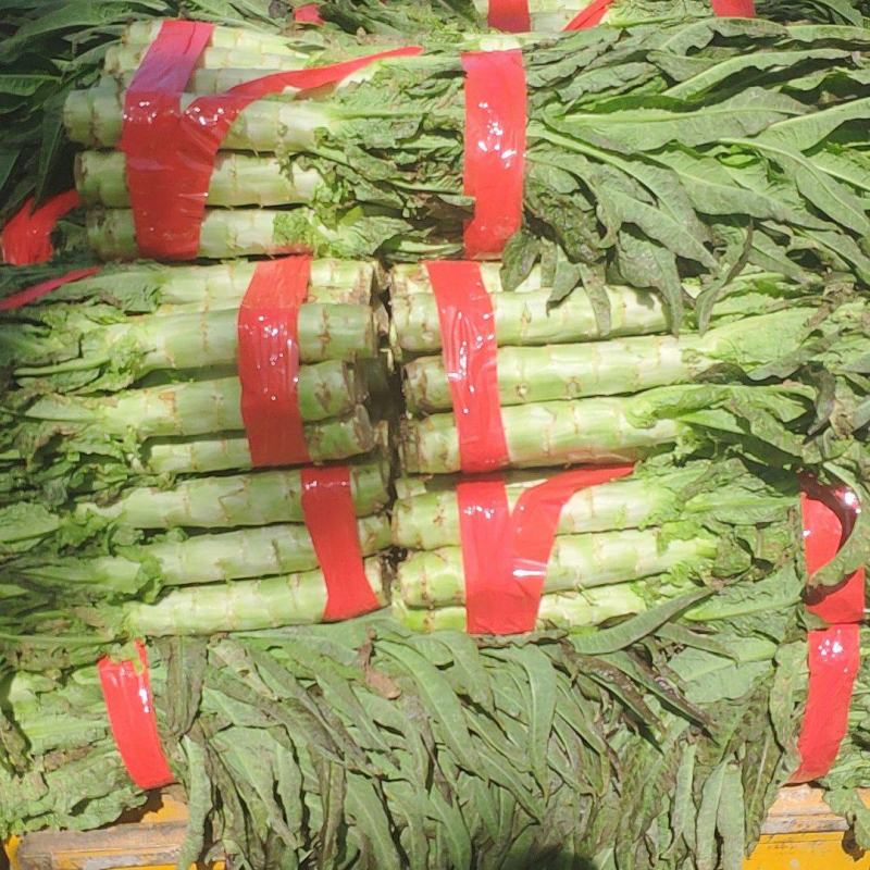 精品红叶莴苣产地直供量大从优，欢迎新老朋友前来订购