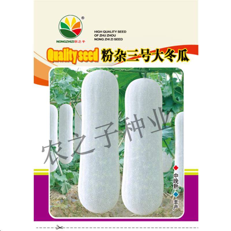 粉杂三号大冬瓜种子，10克，30到80斤