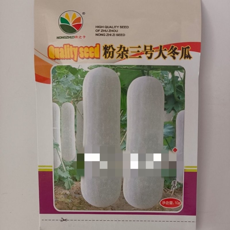 粉杂三号大冬瓜种子，10克，30到80斤