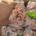 肉食鸡净胗，大包装，小包装，资质齐全，价格合适