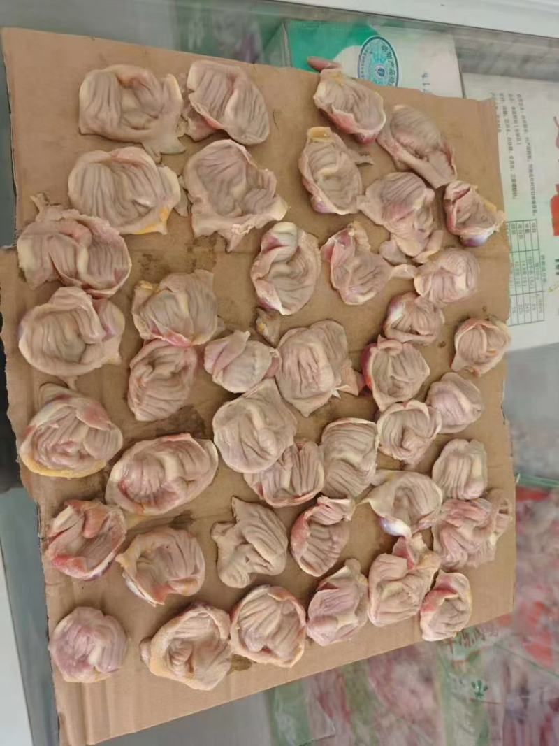 肉食鸡净胗，大包装，小包装，资质齐全，价格合适