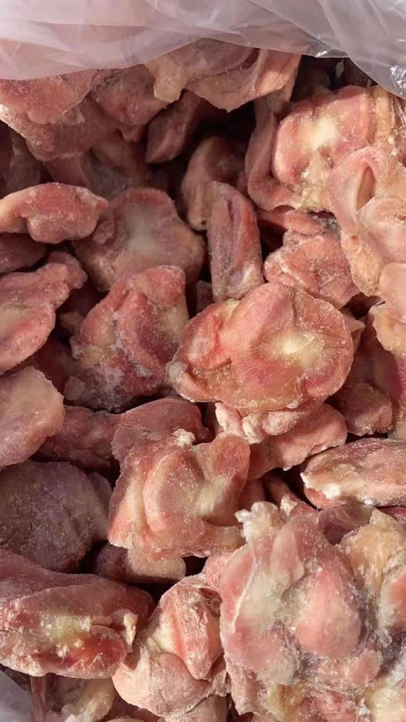 肉食鸡净胗，大包装，小包装，资质齐全，价格合适