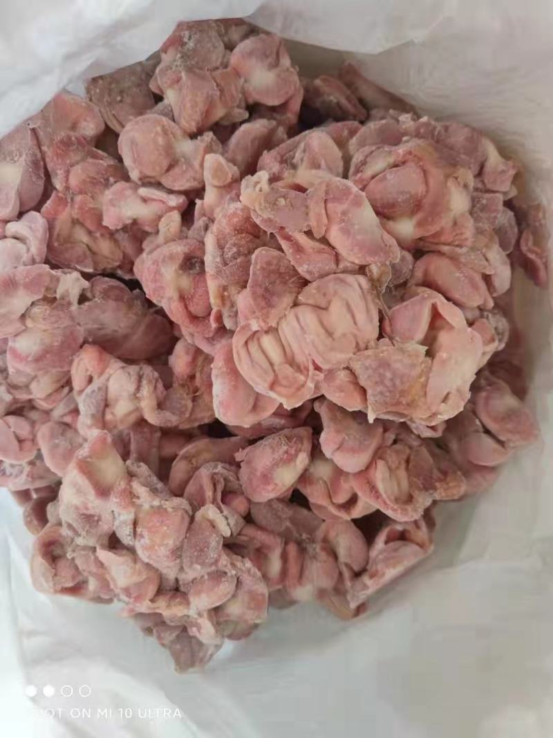 肉食鸡净胗，大包装，小包装，资质齐全，价格合适