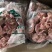 肉食鸡净胗，大包装，小包装，资质齐全，价格合适