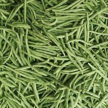 四季豆青芸豆质量保证全国量大从优基地直发