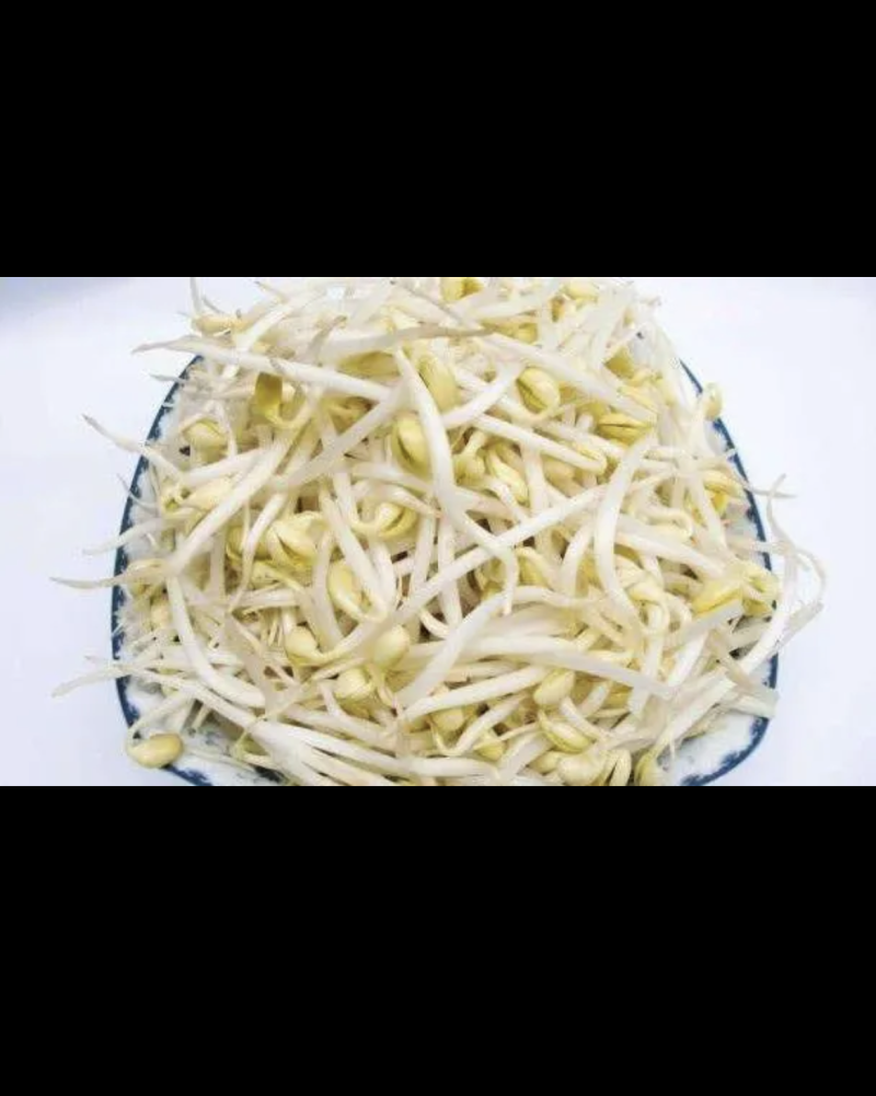 豆芽