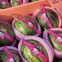 小糖丸礼品瓜，2K西瓜，冰糖子西瓜，甜瓜小吊瓜，原棚好瓜