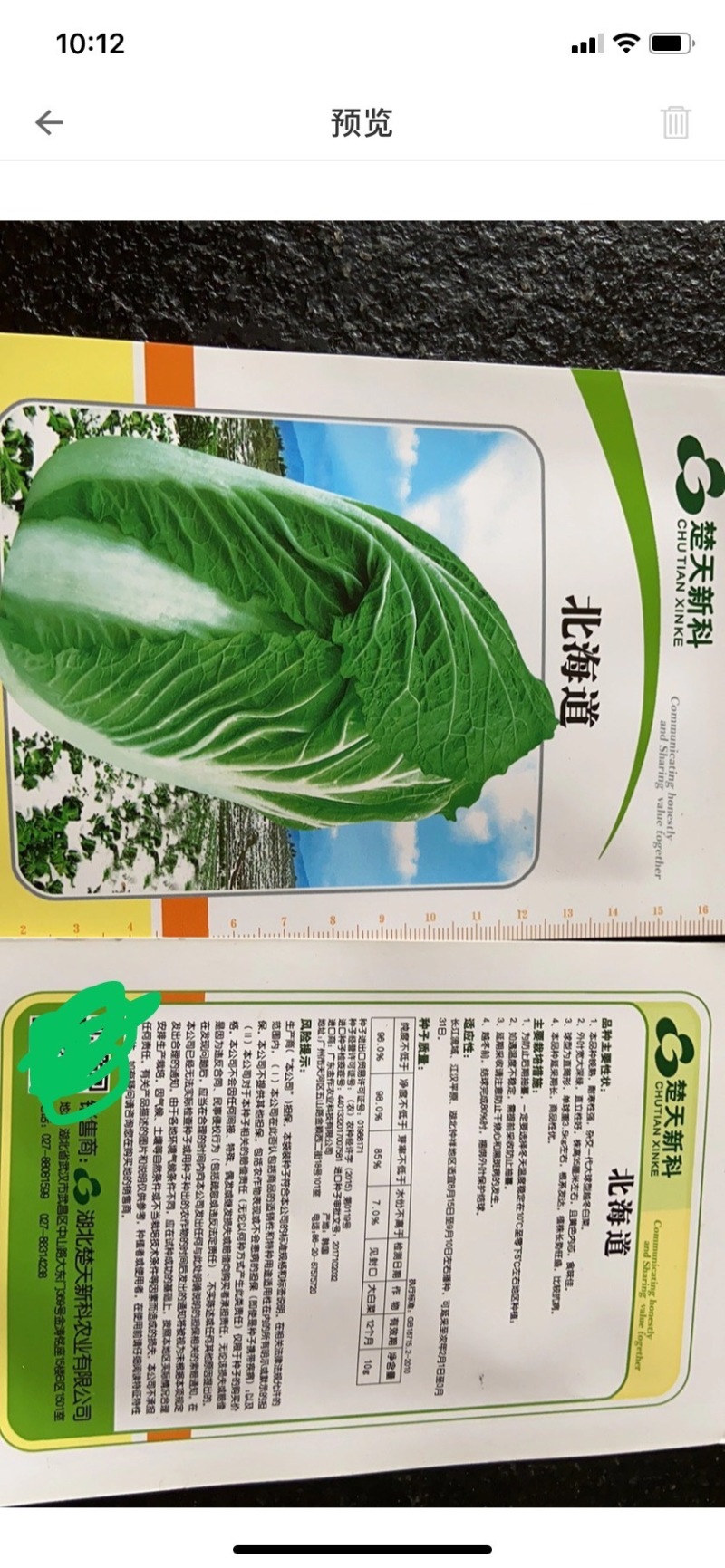 越冬白菜种子～北海道黄芯菜