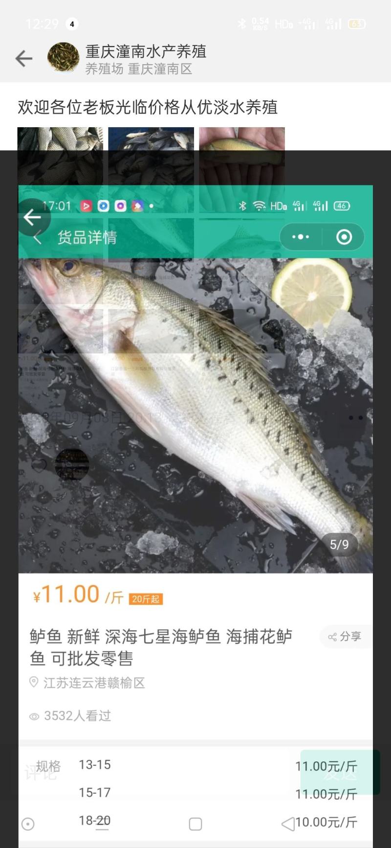 鲈鱼重庆市潼南淡水养殖场欢迎各位老板光临