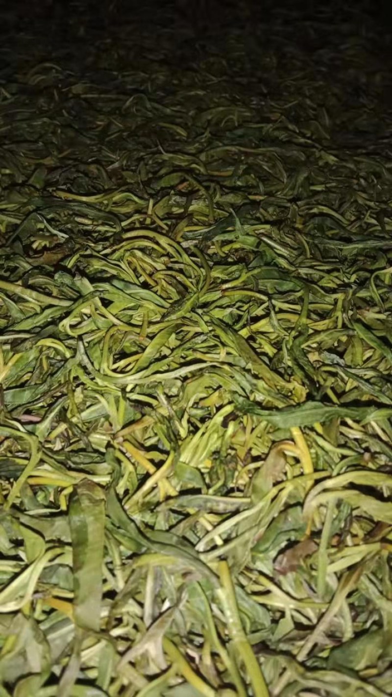 纯手工制作的野生古树茶