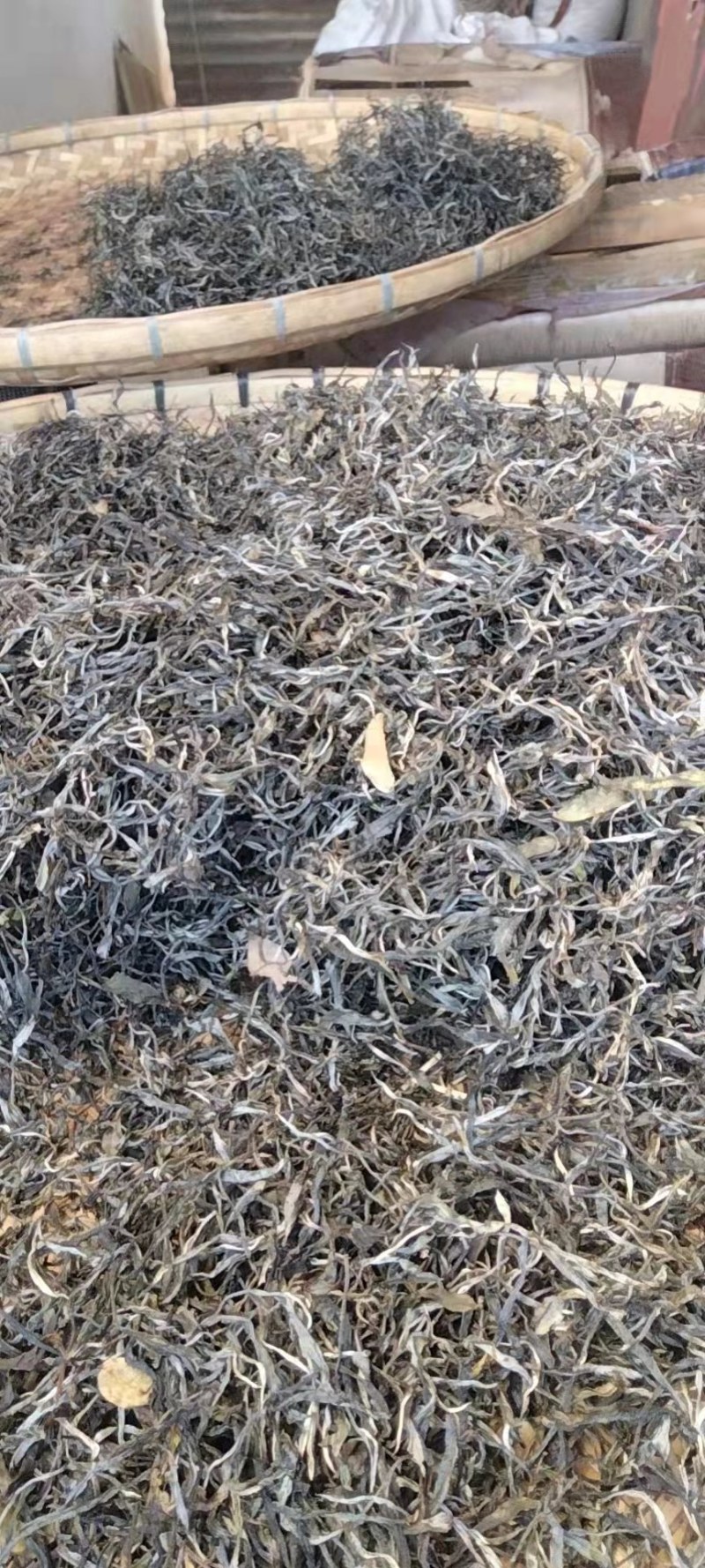 纯手工制作的野生古树茶