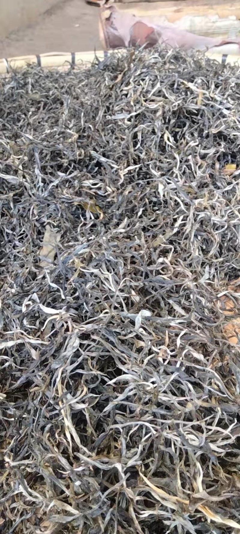 纯手工制作的野生古树茶