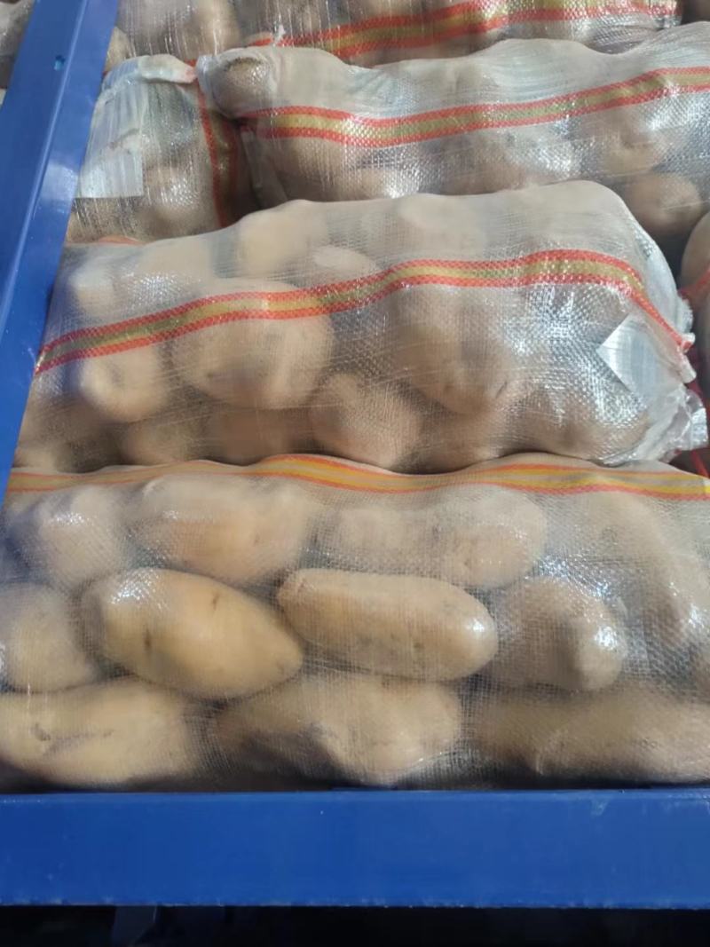 河南精品土豆，电商，市场档口直供，多年代办。