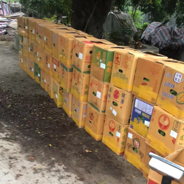 今天五个场摘等待分挑中一级二级一万斤