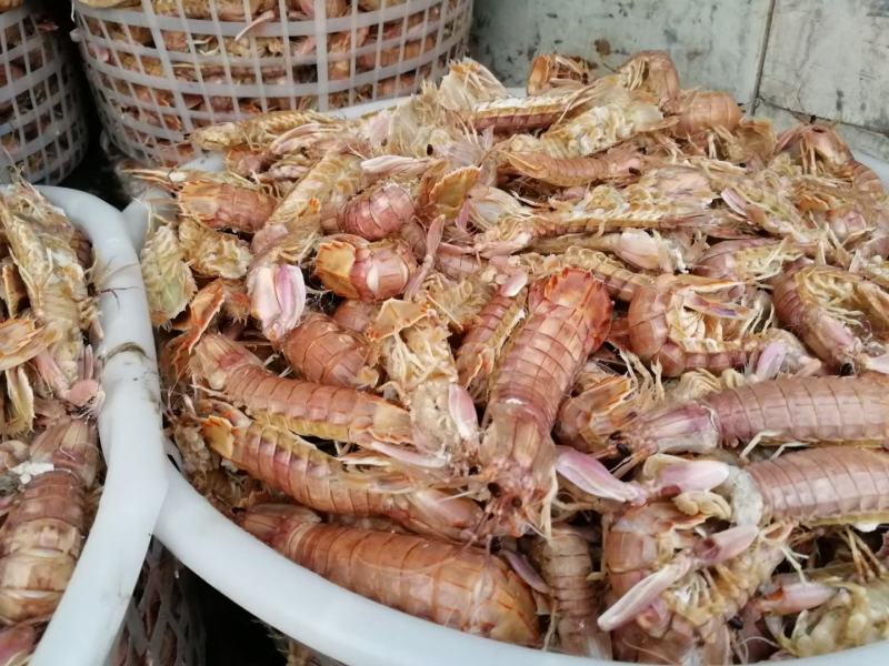 琵琶虾