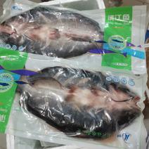 开背黑尾鮰鱼腌制调味叉尾冷冻烤鱼商用2—2.6斤条