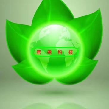 绿化草坪，高羊茅，早熟禾