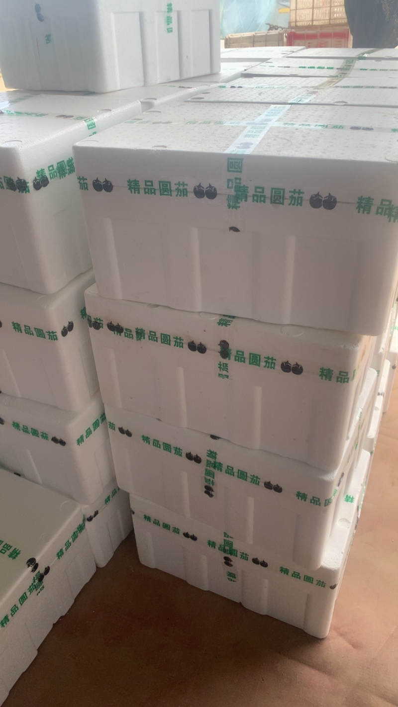 精品圆茄大量上市产地直销，货源稳定，大量供应
