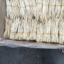 本店商品均属正品，假一罚十信誉保证。欢迎广大顾客前来