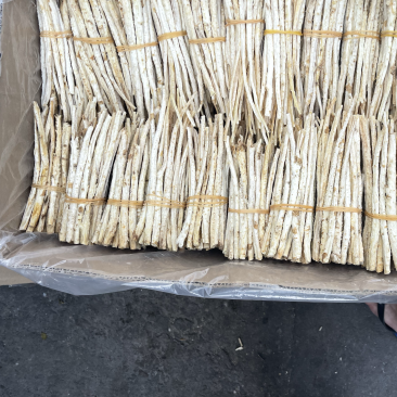 本店商品均属正品，假一罚十信誉保证。欢迎广大顾客前来