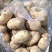 土豆洋芋万亩种植基地一手货源价格优惠大量有货