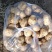 土豆洋芋万亩种植基地一手货源价格优惠大量有货