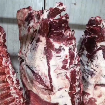 【国产多肉鲜牛排】质量高纯干，每天屠宰鲜货