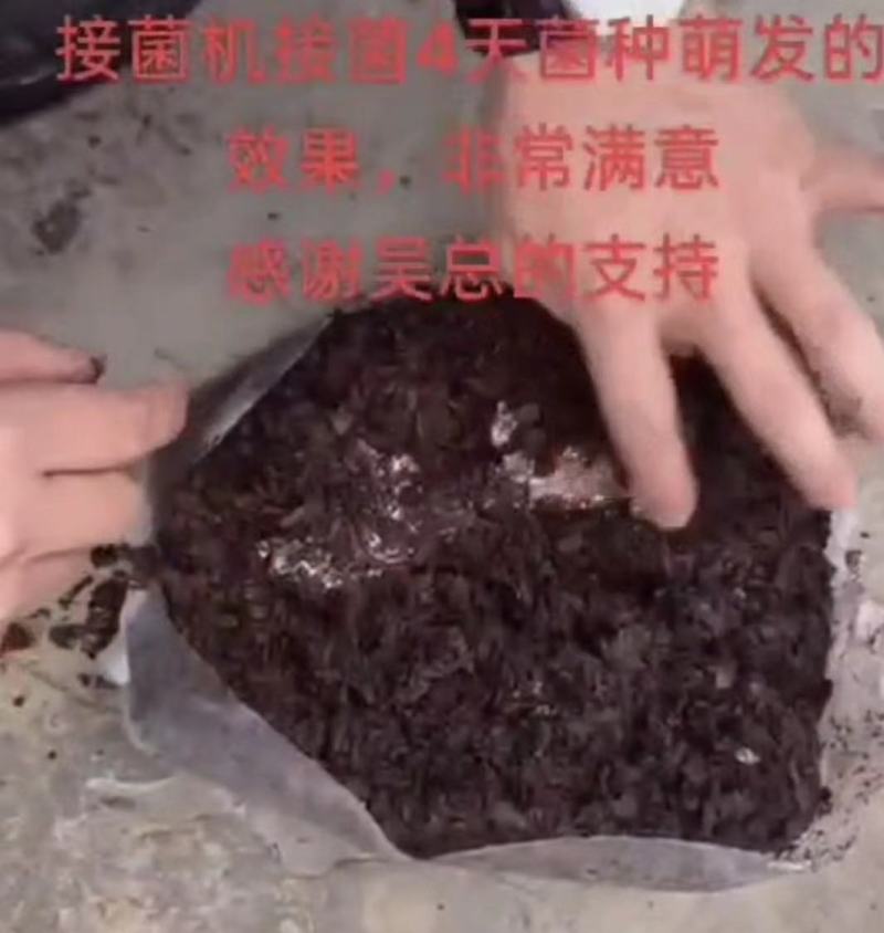 湖北食用菌机械设备—自动窝口接种机操作简单高效率品质保证