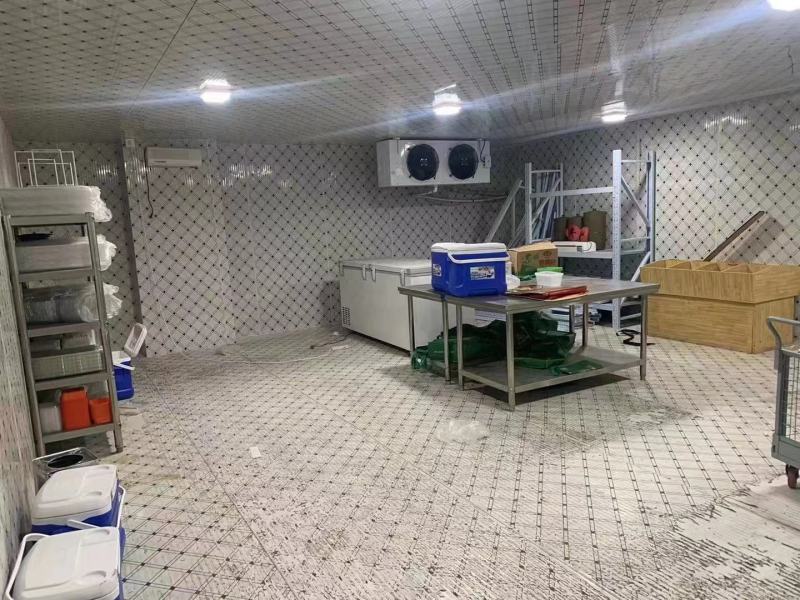 冷库7.5×9.5×2.7两台八匹谷轮半封闭机器