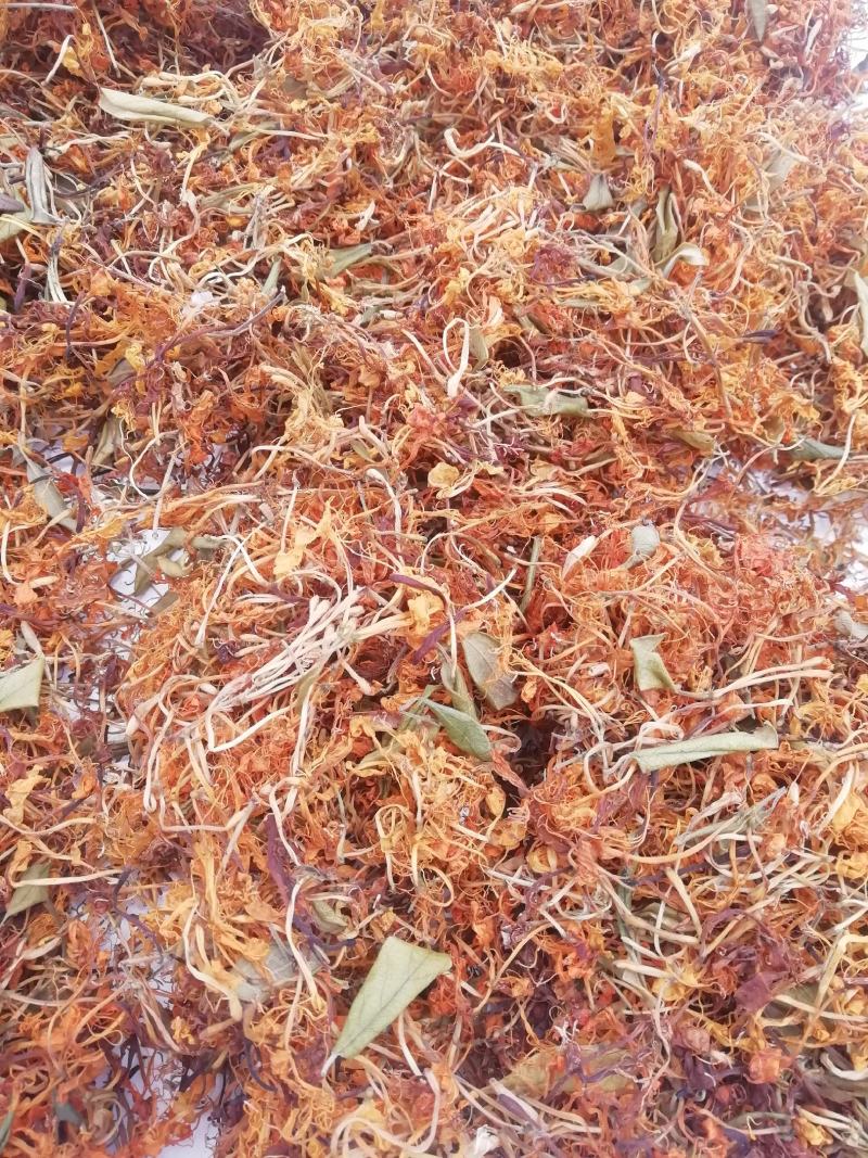 深山野生金银花
