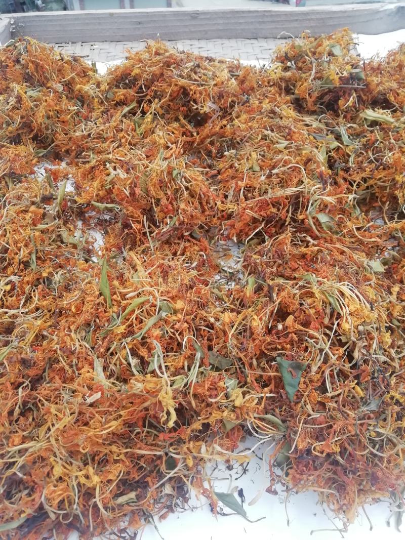 深山野生金银花
