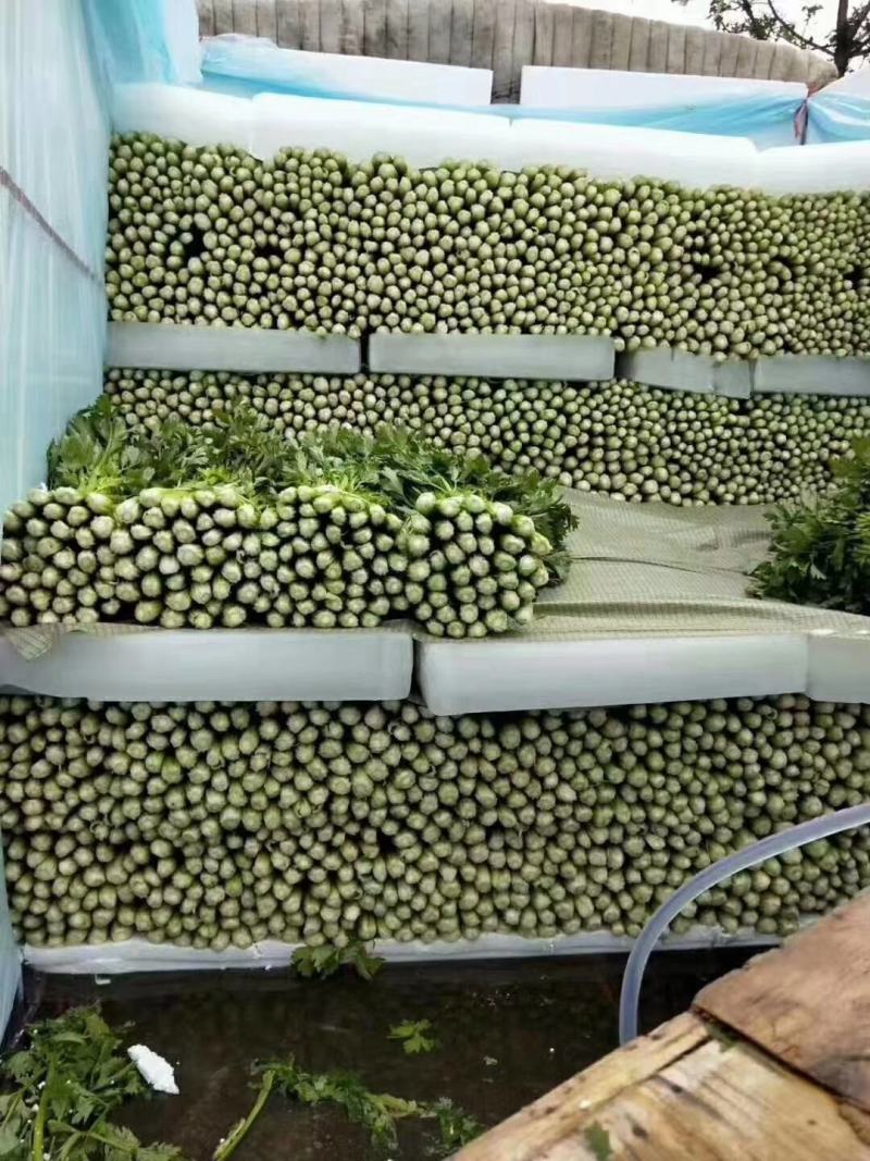 我区蔬菜大量有货