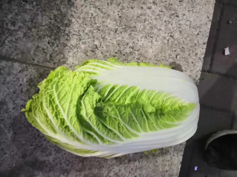 我区蔬菜大量有货