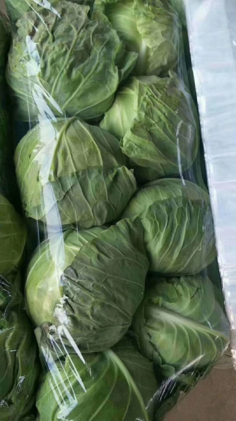 我区蔬菜大量有货